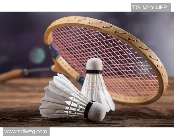 羽毛球手与足球明星的竞技人生与荣耀之路探秘