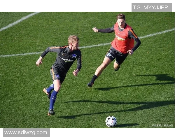 比勤费与赫塔的对决分析及比赛前景展望